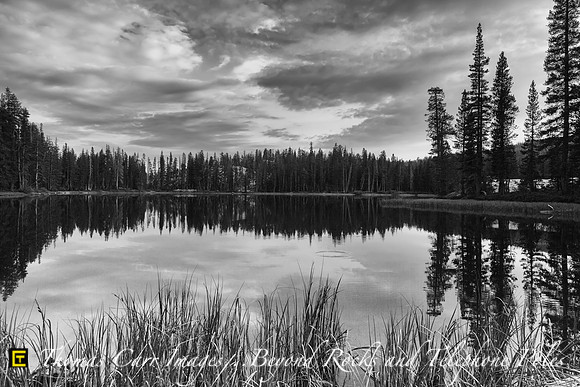 Evening Reflection