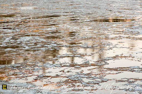 Hot Spring Puddles