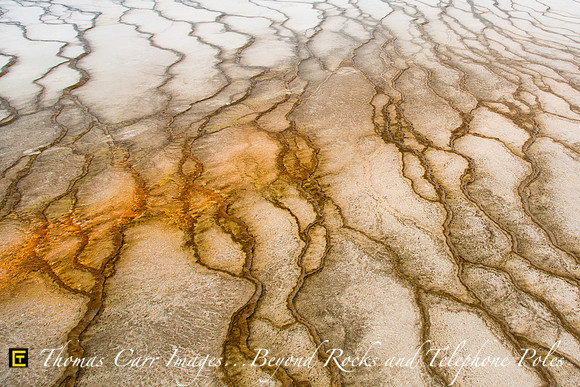 Cracks in the Spring